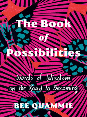 The Book of Possibilities - ebook